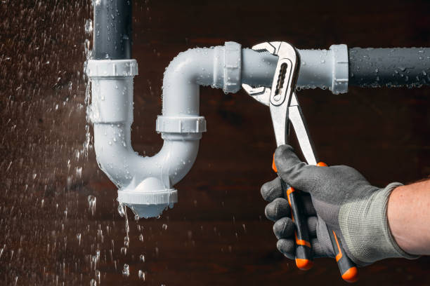 Professional Plumbing technician working in Hamden, NY